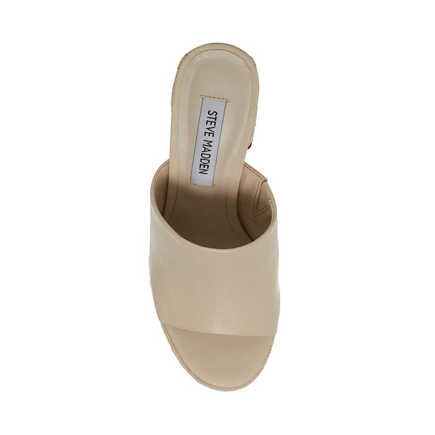 Steve Madden DARBY Női Mule Cipő Bone | 690CFRHNG