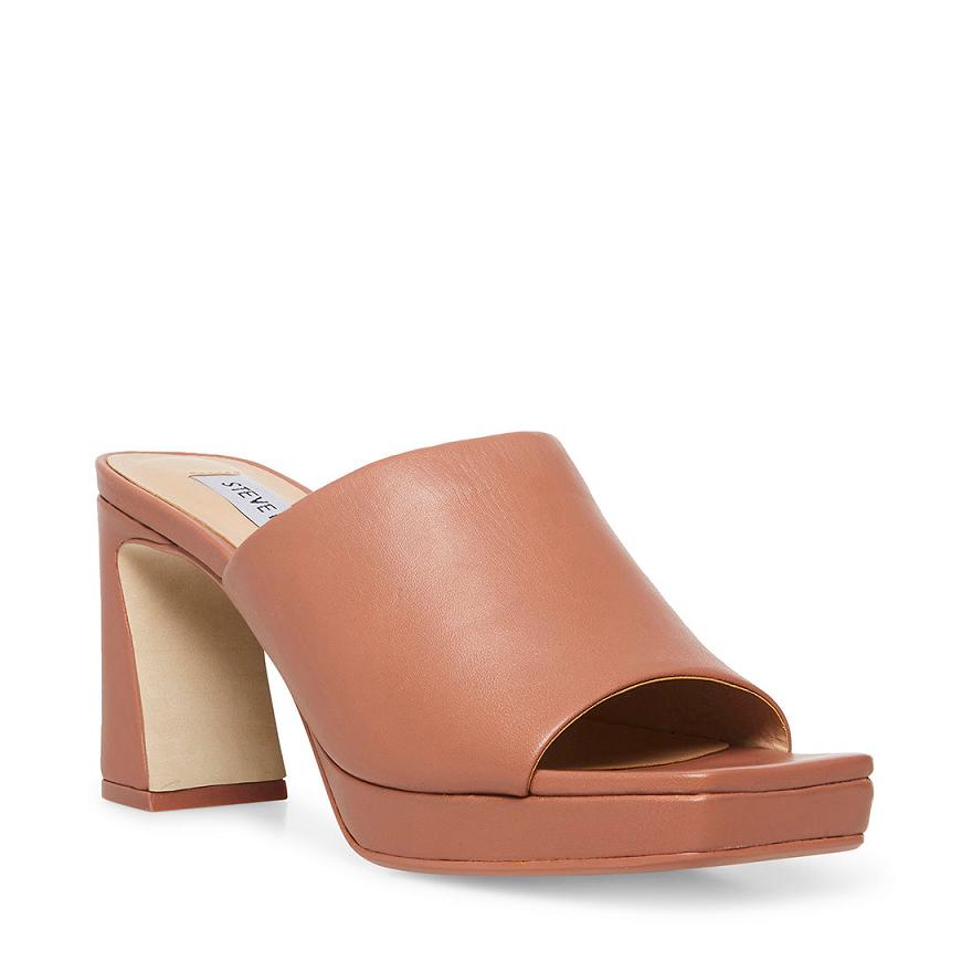 Steve Madden DEDICATE Női Mule Cipő Blush | 419IETQDY