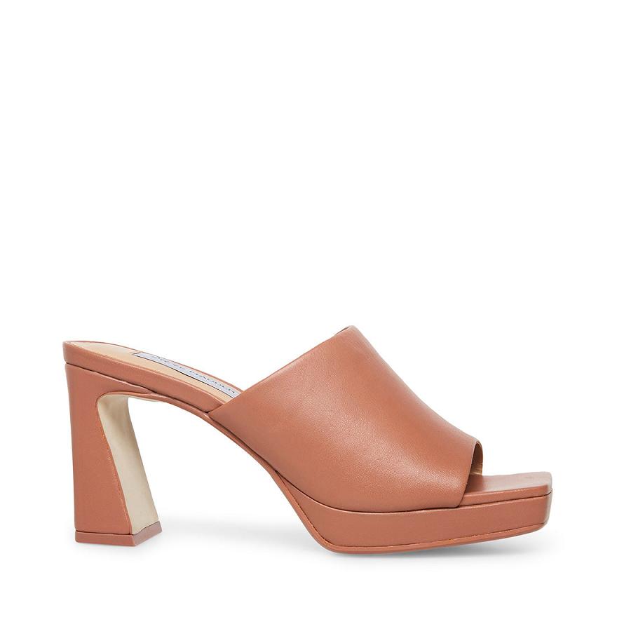 Steve Madden DEDICATE Női Mule Cipő Blush | 419IETQDY