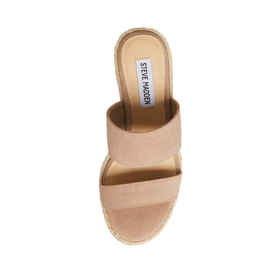 Steve Madden JANE Női Mule Cipő Taupe | 208JIKUAL