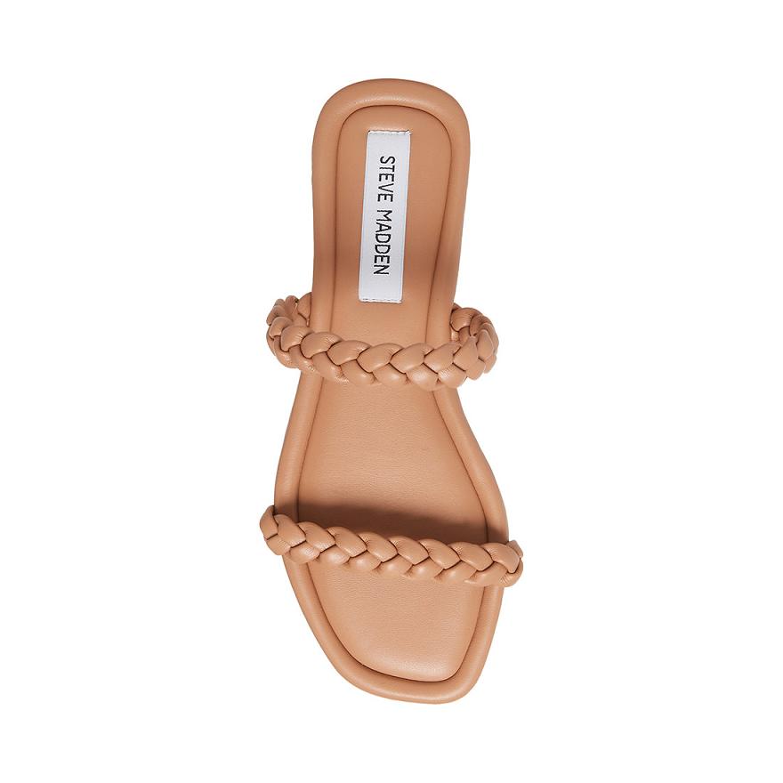 Steve Madden RAYAN Női Papucs Mocha | 273BWRQOX