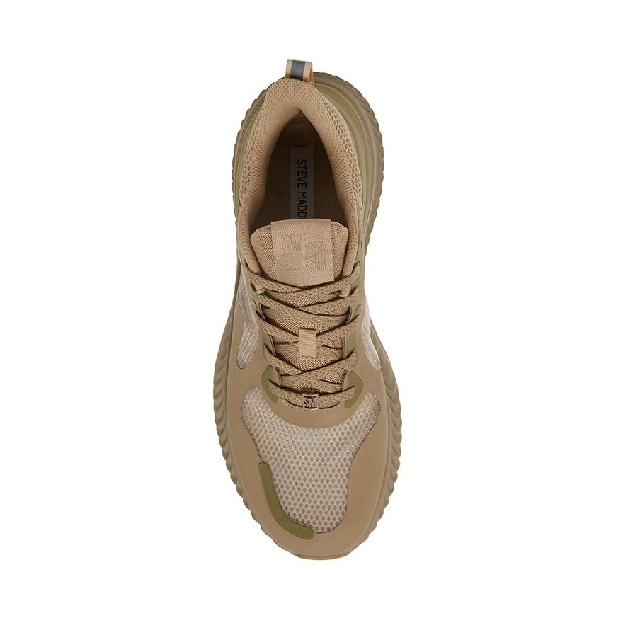 Steve Madden SALDE Férfi Sneaker Barna | 280NAWSXC