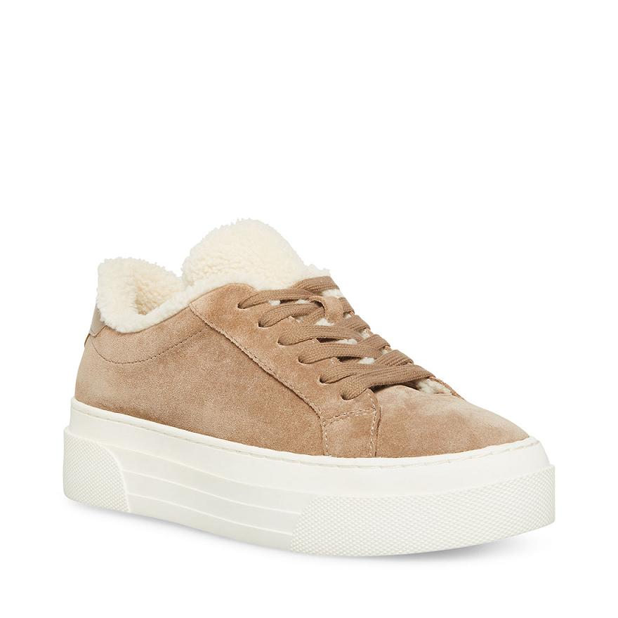 Steve Madden STUDIO- Steve Madden SportcipőF Női Sportcipő Taupe | 167JCNVYZ