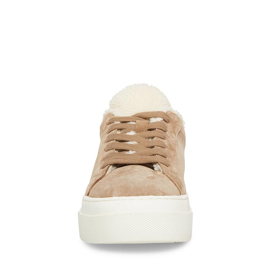 Steve Madden STUDIO- Steve Madden SportcipőF Női Sportcipő Taupe | 167JCNVYZ