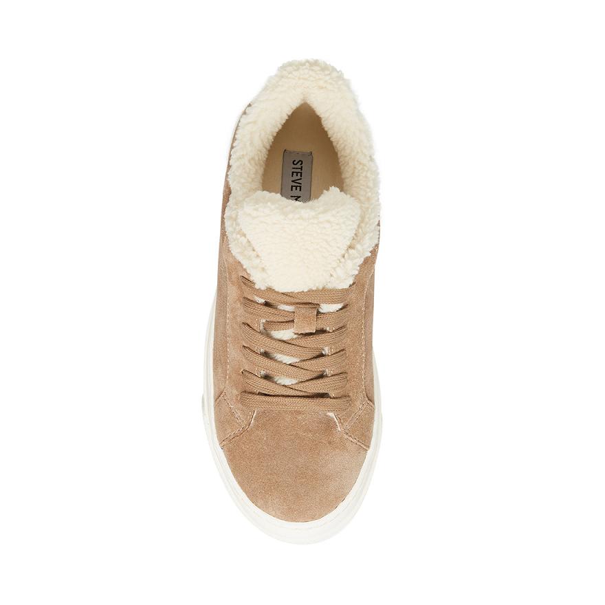 Steve Madden STUDIO- Steve Madden SportcipőF Sportcipős Női Sportcipő Taupe | 379VUGDXH