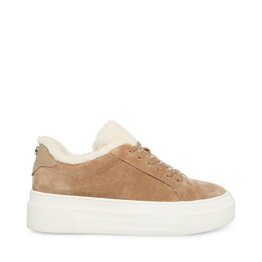 Steve Madden STUDIO- Steve Madden SportcipőF Sportcipős Női Sportcipő Taupe | 379VUGDXH